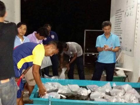 Phuket man, 63, caught with hundreds of reef fish