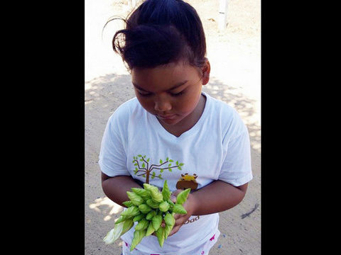 Meet the Natives: Revive yourself with the moonflower