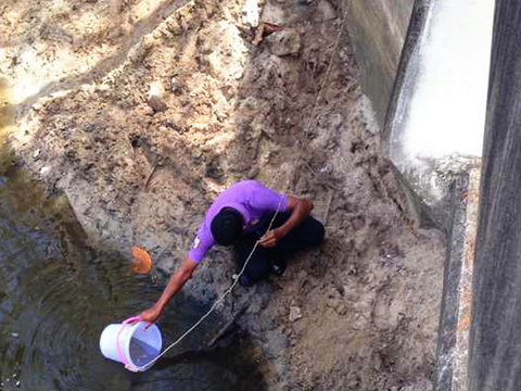 Black water on Phuket beach ‘is not pollution’