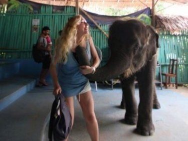 'Nadia' Learning New Tricks at Phuket Jungle Elephant Camp