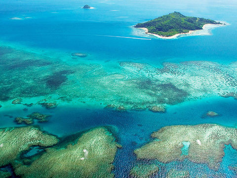 Diving into coral restoration