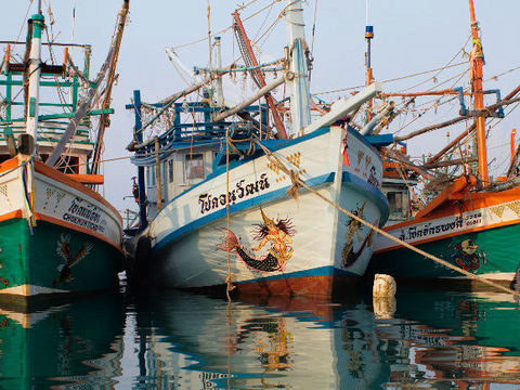 Phuket scrambles to dodge EU red card on seafood exports